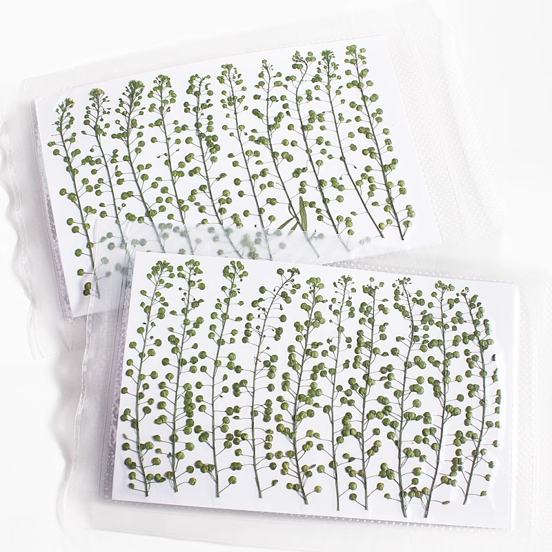 Natural Color Green Bell Grass - огляд і ціна Resin Art Baby