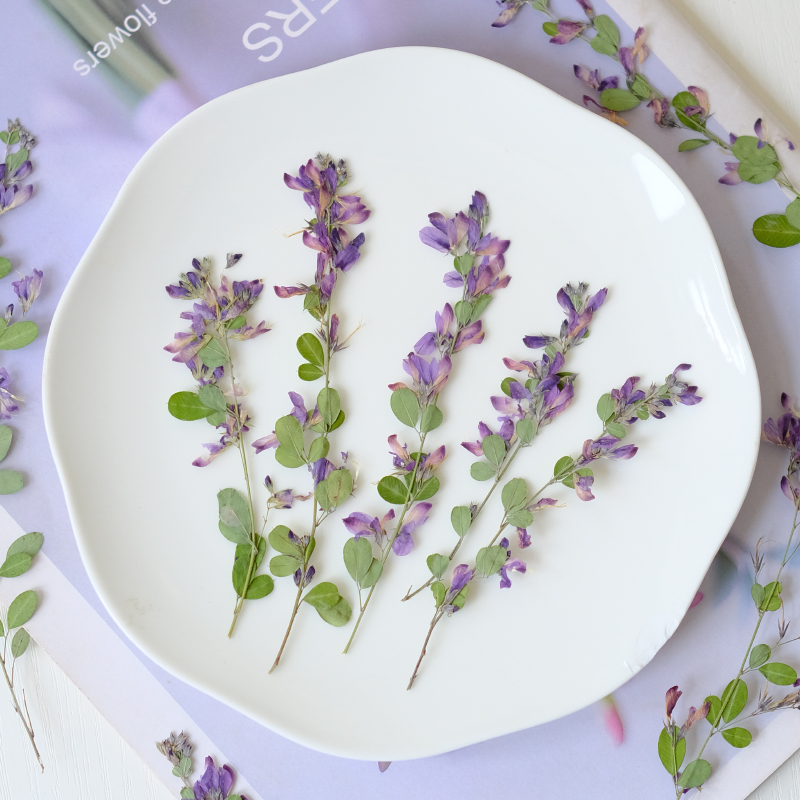 6pcs,nature Lespedeza Formosa  - огляд і ціна Resin Art Baby