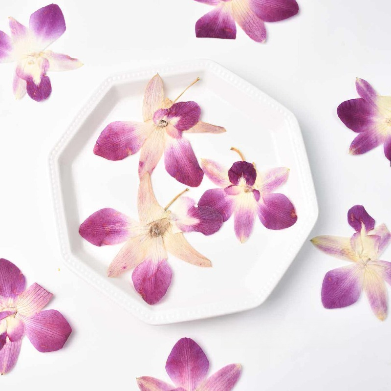 4pcs,Real Pressed Butterfly Or - огляд і ціна Resin Art Baby