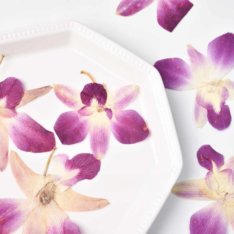 4pcs,Real Pressed Butterfly Or - огляд і ціна Resin Art Baby