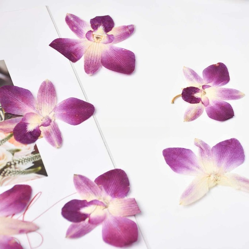 4pcs,Real Pressed Butterfly Or - огляд і ціна Resin Art Baby