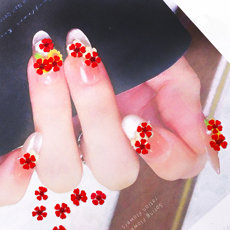 96Pcs Mini 1.5cm Natural Press - огляд і ціна Resin Art Baby