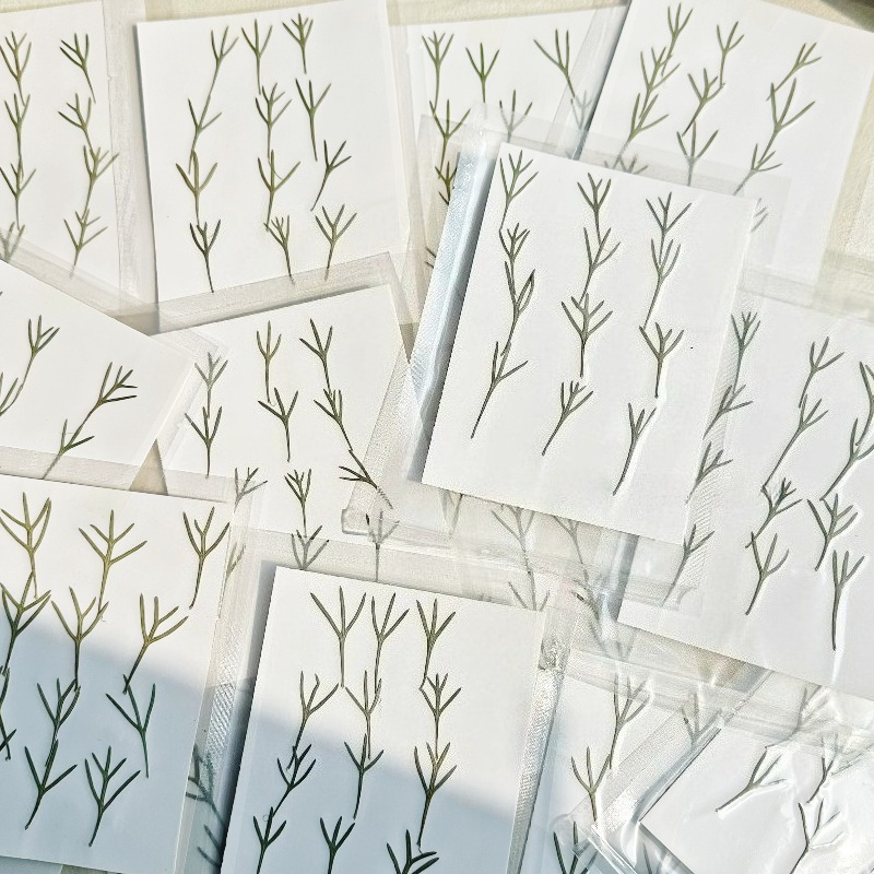 24pcs,Real Pressed Achillea Le - огляд і ціна Resin Art Baby