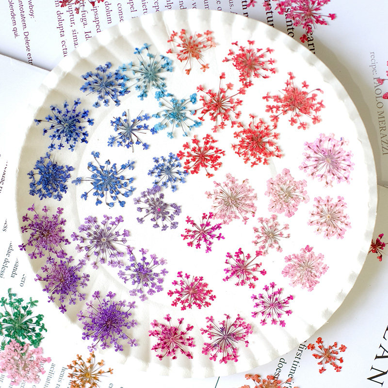 24pcs, 2-2.5cm, Nature Dyed Mi - огляд і ціна Resin Art Baby