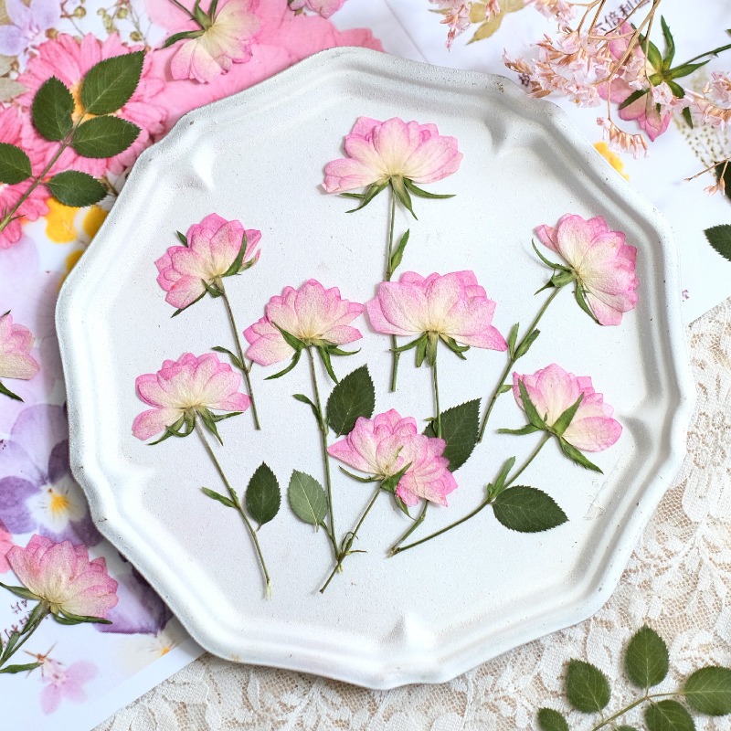 12pcs,Real Dried Pressed Flowe - огляд і ціна Resin Art Baby
