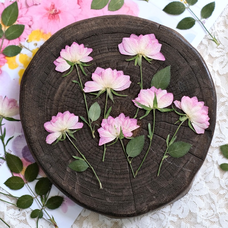 12pcs,Real Dried Pressed Flowe - огляд і ціна Resin Art Baby
