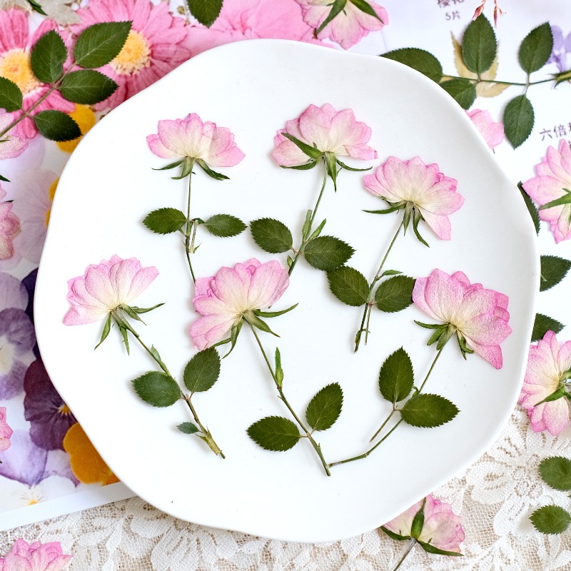 12pcs,Real Dried Pressed Flowe - огляд і ціна Resin Art Baby