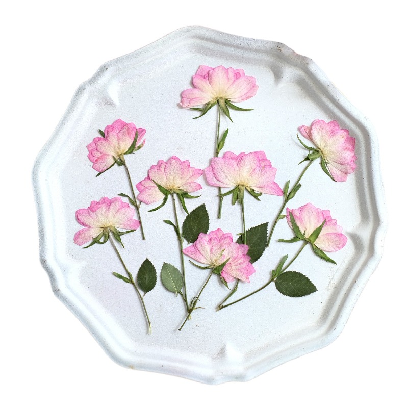 12pcs,Real Dried Pressed Flowe - огляд і ціна Resin Art Baby
